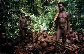 血肉食人族,探寻神秘食人族群的生存奥秘